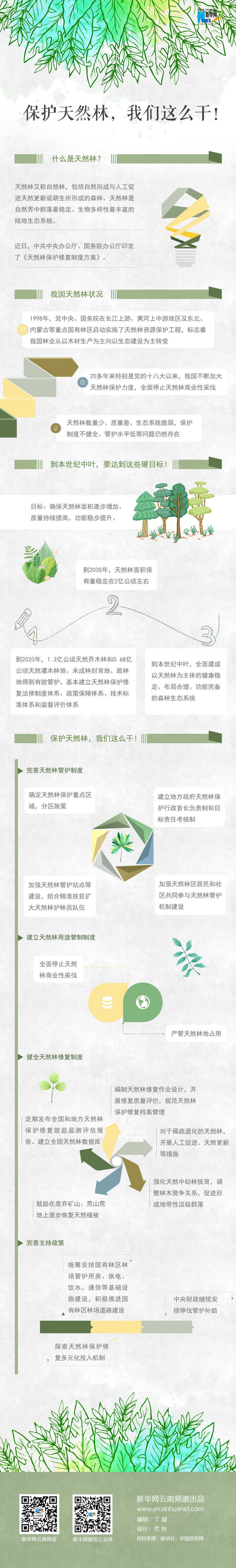 2020年國家公務員考試時政：保護天然林，我們這么干！